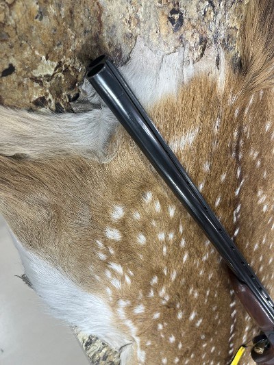 SAVAGE ARMS Fox B Series H 20 GA - Image 6 of 18