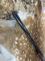 SAVAGE ARMS Fox B Series H 20 GA - Image 7 of 18