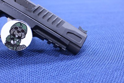 SIG SAUER P365 FUSE 9MM LUGER (9X19 PARA) - Image 7 of 9