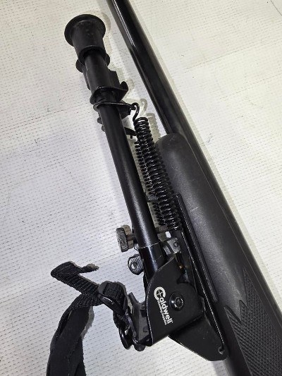 SAVAGE ARMS MODEL II .243 WIN - Image 3 of 12