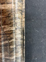 BROWNING A5 12 ga - Image 7 of 7