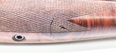 STEVENS MODEL 44 1/2 CHAMBERED IN .219 ZIPPER .219 ZIPPER - Image 7 of 13
