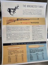 WINCHESTER MODEL 70 .264 WIN MAG - Image 7 of 7
