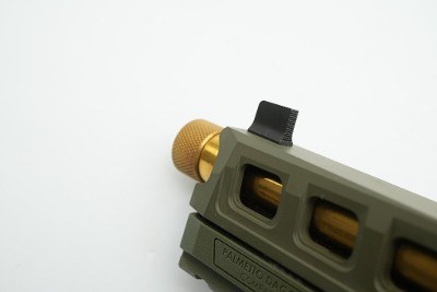 PALMETTO STATE ARMORY DAGGER COMPACT 9MM LUGER (9x19 PARA) - Image 23 of 24