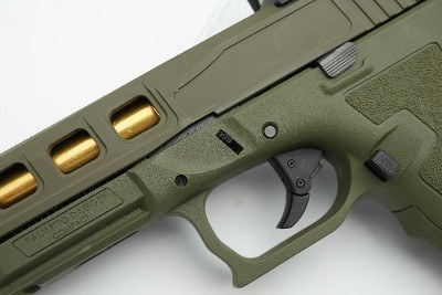 PALMETTO STATE ARMORY DAGGER COMPACT 9MM LUGER (9x19 PARA) - Image 16 of 24
