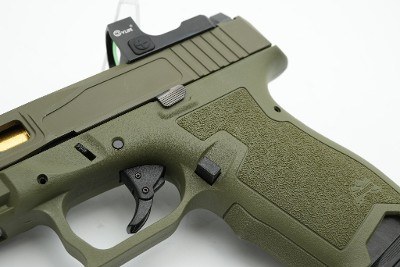 PALMETTO STATE ARMORY DAGGER COMPACT 9MM LUGER (9x19 PARA) - Image 19 of 24