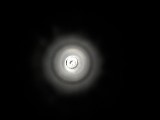REMINGTON 11-87 Special Purpose 12 GA - Image 19 of 19