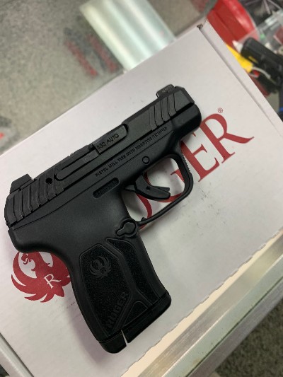 RUGER LCP MAX - Image 5 of 6
