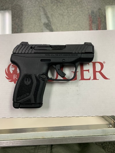 RUGER LCP MAX - Image 6 of 6