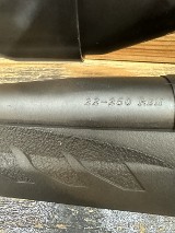 RUGER American .22-250 REM - Image 8 of 13