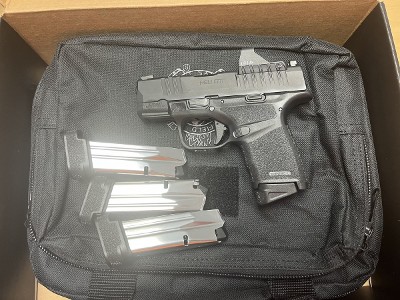 HS PRECISION INC. Hellcat .380 ACP - Image 1 of 5