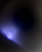 WINCHESTER 75 .22 LR - Image 5 of 5