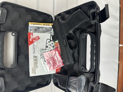 SIG SAUER 365 RXZE .380 ACP - Image 1 of 6