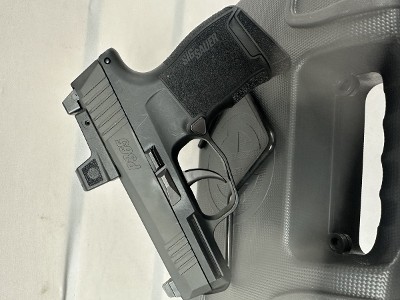 SIG SAUER 365 RXZE .380 ACP - Image 3 of 6