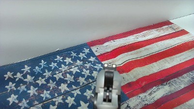 KIMBER MICRO 9 9MM LUGER (9x19 PARA) - Image 5 of 9