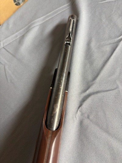 REMINGTON NYLON 66 .22 LR - Image 9 of 9
