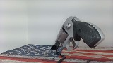 SMITH & WESSON 638-3 AIRWEIGHT .38 SPL - Image 5 of 9