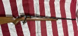 SAVAGE ARMS SPRINGFIELD MODEL 120A .22 LR