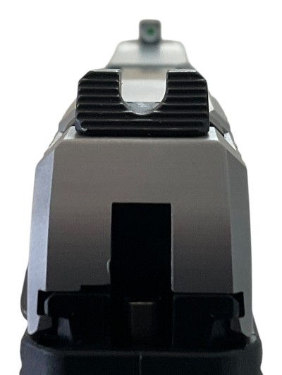 RUGER LCP MAX (MANUAL SAFETY) .380 ACP - Image 5 of 5