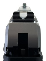 RUGER LCP MAX (MANUAL SAFETY) .380 ACP - Image 5 of 5