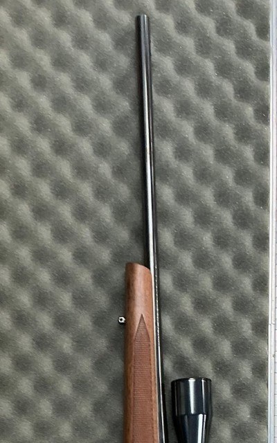 REMINGTON 700 .30-06 SPRG
