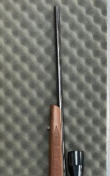 REMINGTON 700 .30-06 SPRG