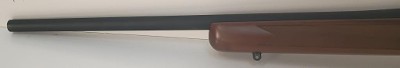 SPRINGFIELD ARMORY 2020 RIMFIRE .22 LR - Image 7 of 12