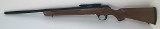 SPRINGFIELD ARMORY 2020 RIMFIRE .22 LR - Image 11 of 12