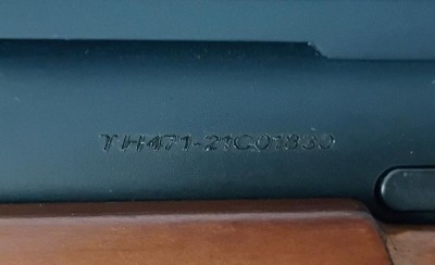 SPRINGFIELD ARMORY 2020 RIMFIRE .22 LR - Image 5 of 12