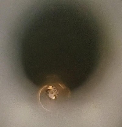 SPRINGFIELD ARMORY 2020 RIMFIRE .22 LR - Image 10 of 12