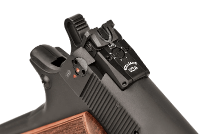 Chiappa Firearms 1911-22 Custom .22 LR - Image 3 of 4
