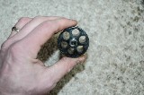 RUGER NEW MODEL SUPER BLACKHAWK .44 MAG/.44 SPL - Image 8 of 11