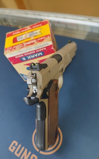 GSG GERMAN SPORTS GUNS 1911 .22 LR - Image 3 of 4