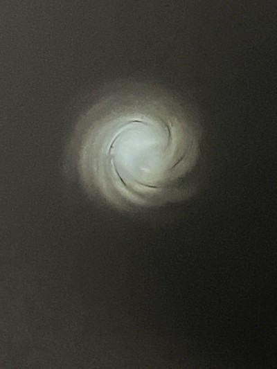 SAVAGE ARMS AXIS .22-250 REM - Image 11 of 11