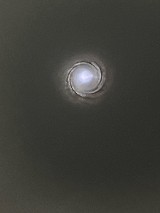 MOSSBERG PATRIOT 6.5 PRC - Image 11 of 11