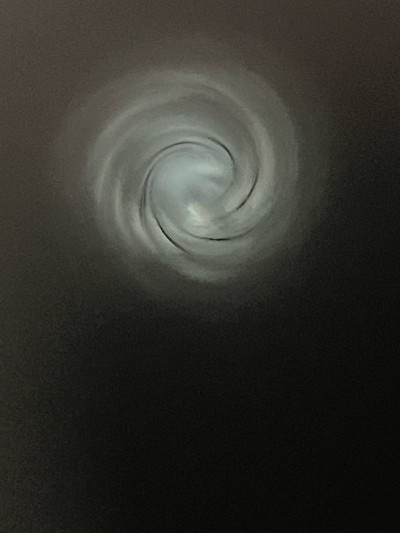 SAVAGE ARMS AXIS .243 WIN .243 WIN - Image 11 of 11