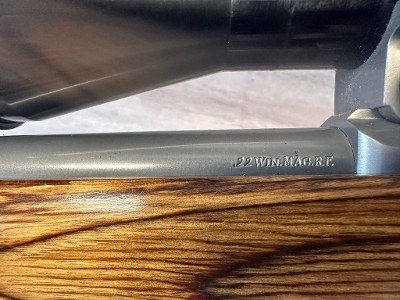 RUGER AMERICAN-ALL WEATHER .22 WMR - Image 10 of 11