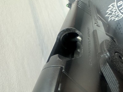 SPRINGFIELD ARMORY PRODIGY 9MM LUGER (9x19 PARA) - Image 4 of 5