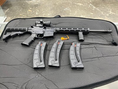 SMITH & WESSON M&P 15-22 SPORT .22 LR - Image 1 of 11