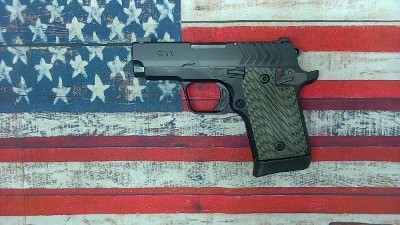 SPRINGFIELD ARMORY 911 (PG9119) 9MM LUGER (9x19 PARA) - Image 3 of 9