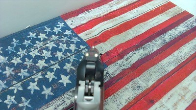 KIMBER MICRO 9 9MM LUGER (9x19 PARA) - Image 5 of 9