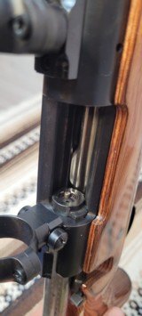 Remington Model 700 in .223 Rem 26