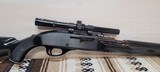 Remington Nylon 66 22lr, *Rare* Black Diamond 19