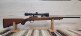 Ruger 77/22 22lr - 1 of 12