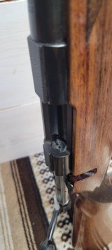 Sako AI .223 Remington with rings - 14 of 15