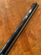 MARLIN COWBOY LIMITED 24