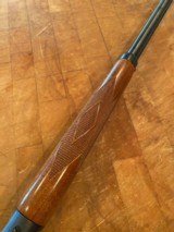 MARLIN COWBOY LIMITED 24