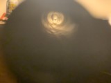 Ruger Model 77RSP Mk. II - 35 Whelen (Rare) - 9 of 14