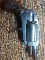 Arminius velo dog - 7 of 11