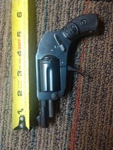 Arminius velo dog - 6 of 11